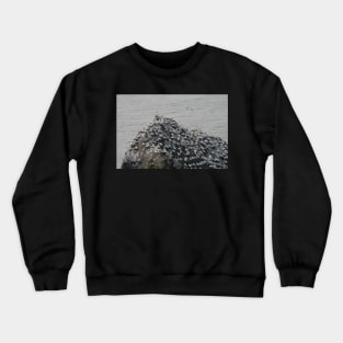 Gannets galore Crewneck Sweatshirt